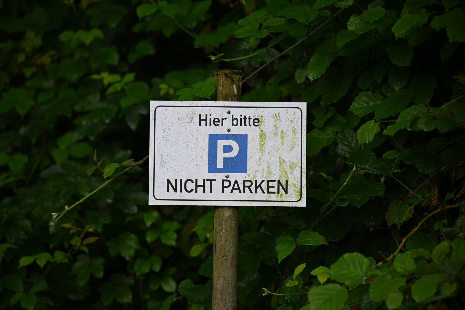 Parkenschild mit Verbotstext