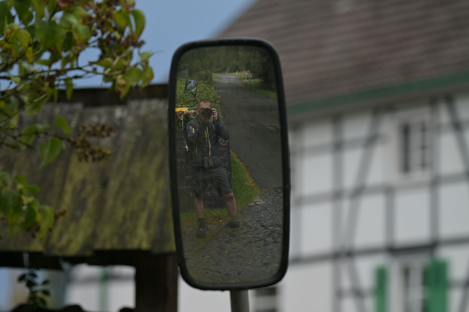 Self-Portrait